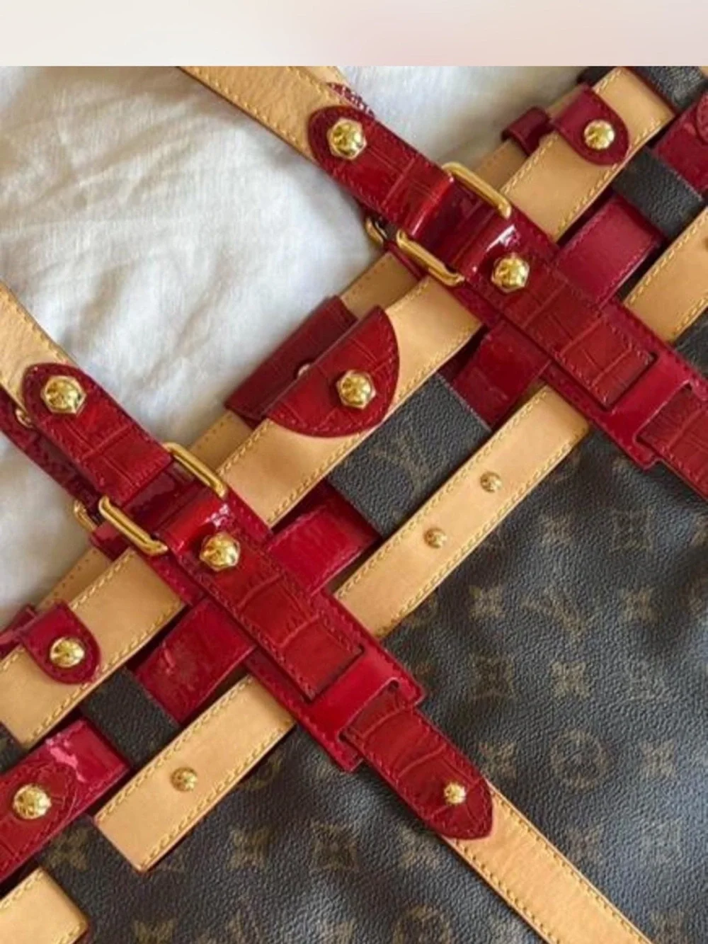 Louis Vuitton LV Rubis Salina GM tote